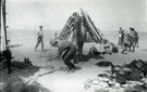 View: MR02816 Loading camels at Shallufa