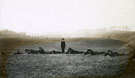 View: MR02853 Recruits being taught how to use a rifle