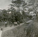 View: MR03070 Special constables on patrol near Kulim, Kedah