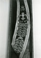 View: MR03097 Colour belt