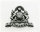 View: MR03099 Officer's collar badge