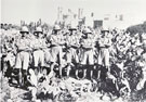 View: MR03213 Officers of the 8th Battalion in Malta