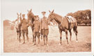 View: MR03229 Three Grooms with their horses, 6/7th Battalion