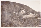 View: MR03257 16th Battalion Water Cart, Manchester Hill