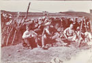 View: MR03334 A day's rest, Kuilfontein