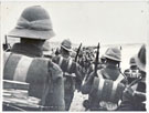 View: MR03407 Territorials on the march in Egypt