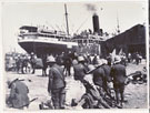 View: MR03408 Territorials in Egypt