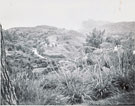 View: MR03450 The Cameron Highlands