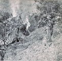 View: MR03461 Destroying a hut used by terrorists
