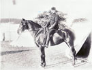 View: MR03501 Unknown Ardwicks Officer
