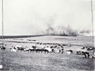 View: MR03507 Mounted Brigade Camp, Amersfoort
