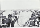View: MR03509 General Buller's transport
