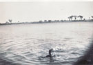 View: MR03541 Soldier swimming