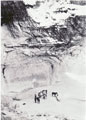 View: MR03558 Bedouins and their horses
