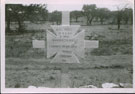 View: MR03963 Grave at Caesar's Camp