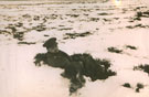 View: MR04183 Major John 'Tony' Fitch in the snow