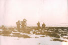 View: MR04186 3 Platoon in the snow