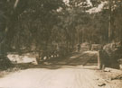 View: MR04272 A jungle bridge
